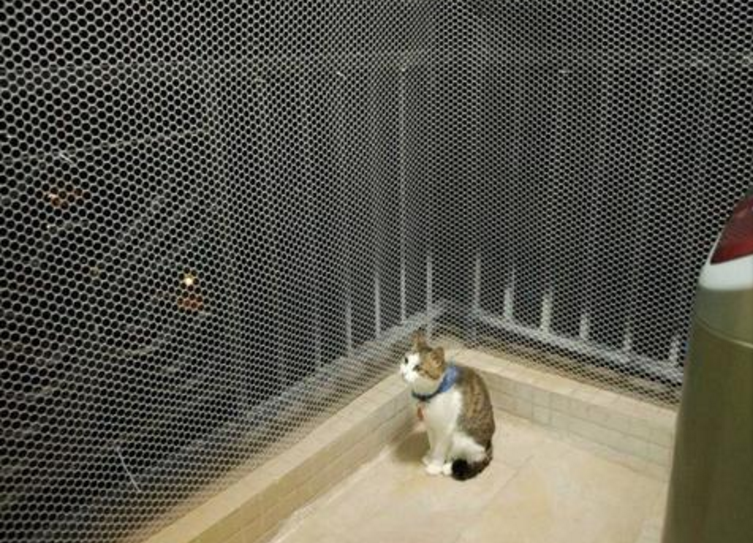 養殖隔離柵