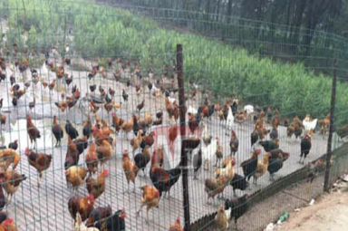 養殖圍欄網